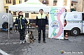VBS_5228 - In ricordo dell'alluvione del 1994 nel trentennale